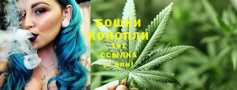 наркошоп  Зея  Марихуана OG Kush 